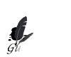 3guestb.gif (5699 Byte)