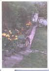 roterschneck.jpg (19874 Byte)