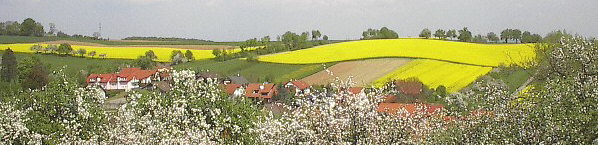 Ochsenbach bei Heidelberg - Frühling 2004