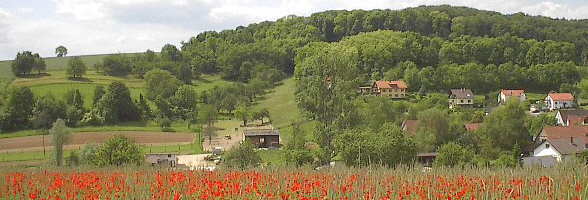 Maisbach Mitte Mai 2002: Mohnfeld und viel Grün 