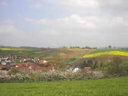 April 2002 in Ochsenbach südlich Heidelberg